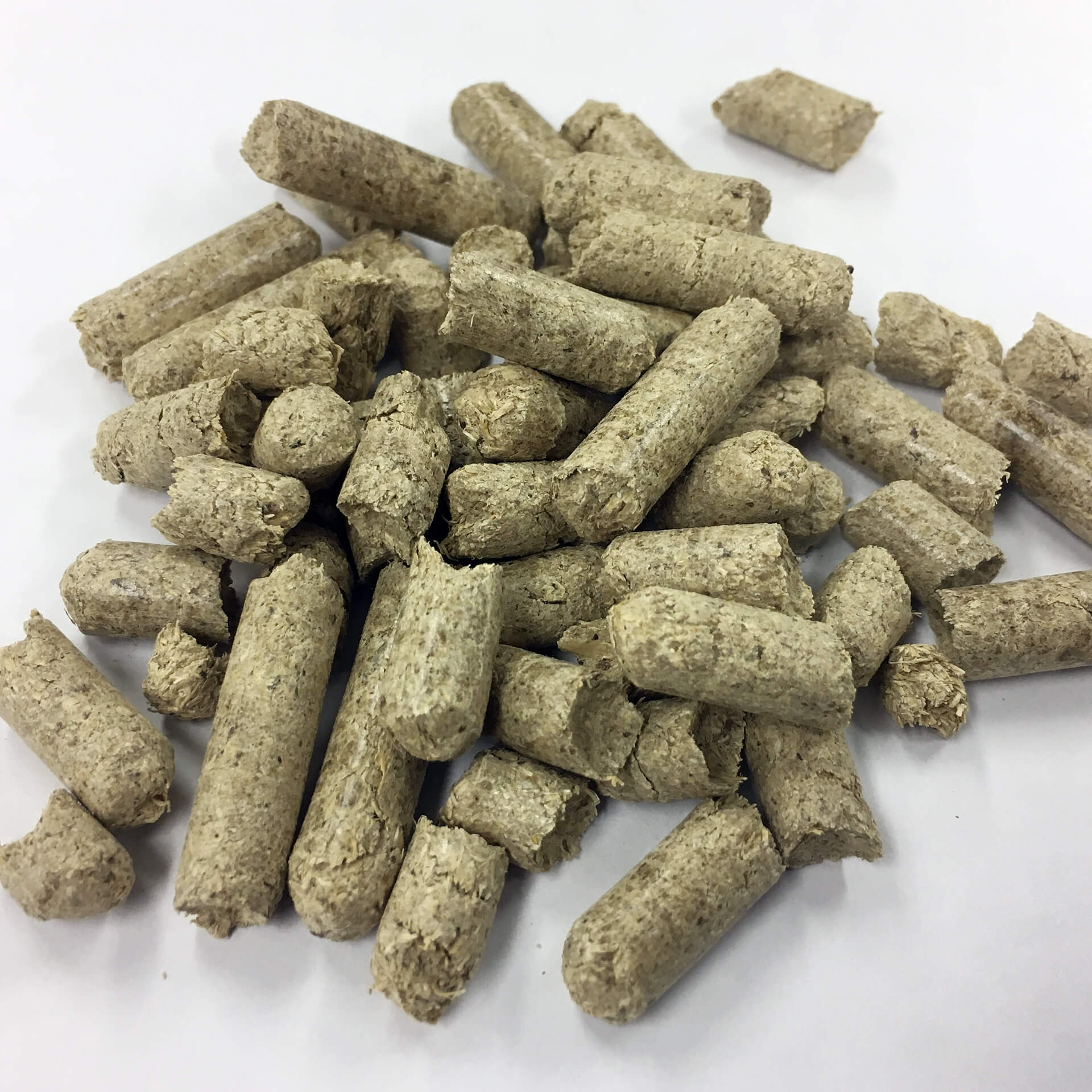 バガスペレット